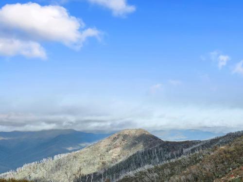 a view of a mountain with a blue sky and clouds at SKI View 4 in Mount Buller