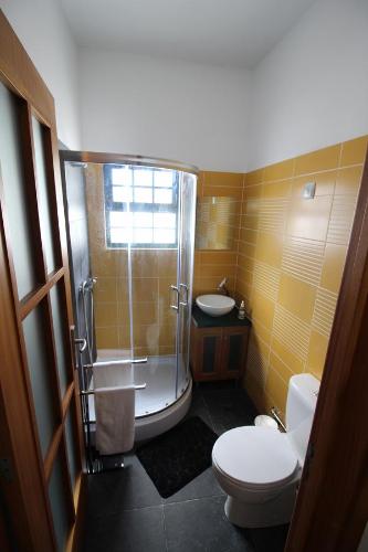 un bagno con doccia, WC e lavandino di Vivenda Atlântida a Ponta Delgada