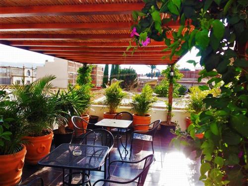 Κήπος έξω από το Hostal de Las Américas