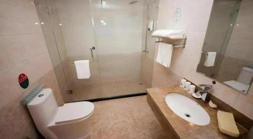 a bathroom with a toilet and a sink and a shower at GreenTree Inn Dalian Jinzhou District Railway Station Ansheng Plaza in Dalian