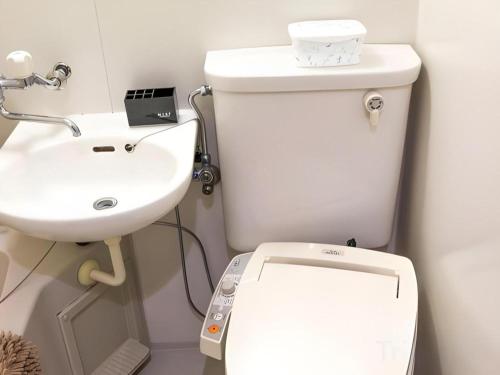 a bathroom with a white toilet and a sink at HOSTEL LUND I -Oimachi- in Tokyo