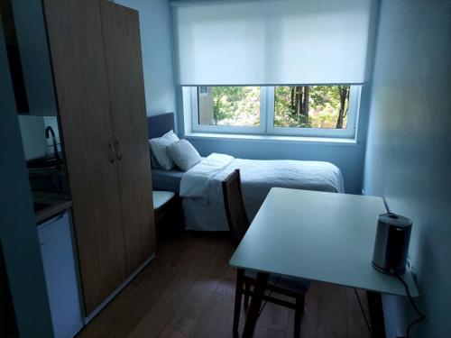 a small room with a bed and a table and a window at Pepleri 34 mini studio apartment in Tartu