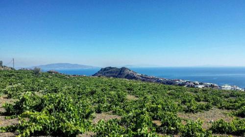 a green hill with the ocean in the background at Villa Happening in Imerovigli