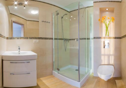 a bathroom with a shower and a sink and a toilet at Domki Apartamentowe Bueno in Dąbki