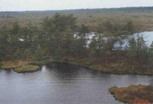 an island in the middle of a body of water at Paepealse Guesthouse in Kullamaa