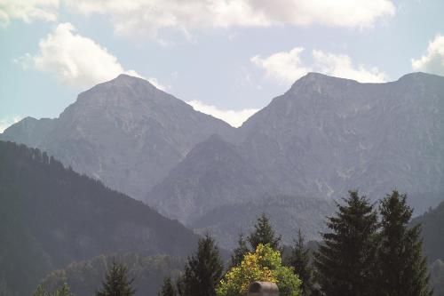 a view of a mountain range with trees in the foreground at Hotel-Restaurant Bellevue in Ruhpolding