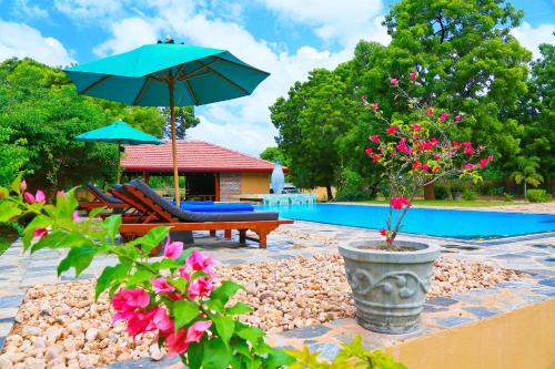 a patio with a pool and an umbrella and flowers at Shangri-Lanka Village in Tissamaharama