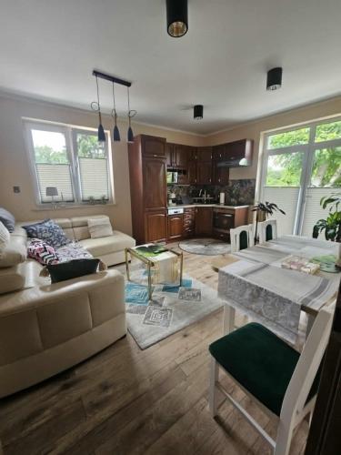 a living room with a couch and a table at Apartamenty iGrażka in Kudowa-Zdrój
