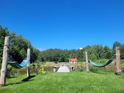 a couple of hammocks in a field next to a body of water at Kemping i Domki nad stawem in Harsz
