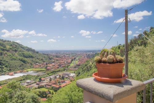 a potted plant sitting on the edge of a balcony at Podere Scoglio d'Oro in Pescia