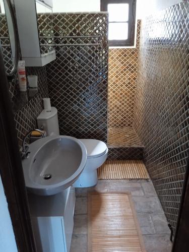 a bathroom with a sink and a toilet and a shower at Charmant maset provençal in Montmeyan