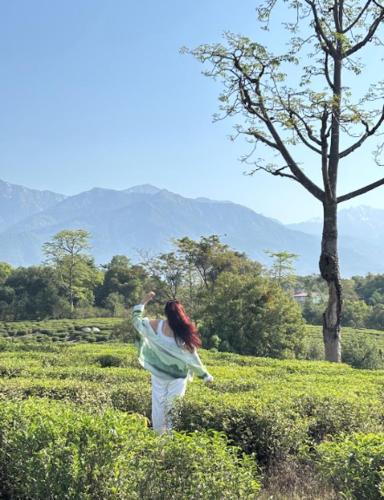 a woman standing in a field flying a kite at Jaadooghar Madcap Mudhouse in Palāhu