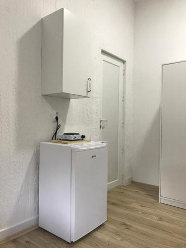 a kitchen with a white refrigerator and a cabinet at Apartman studio Milojkovic in Golubac