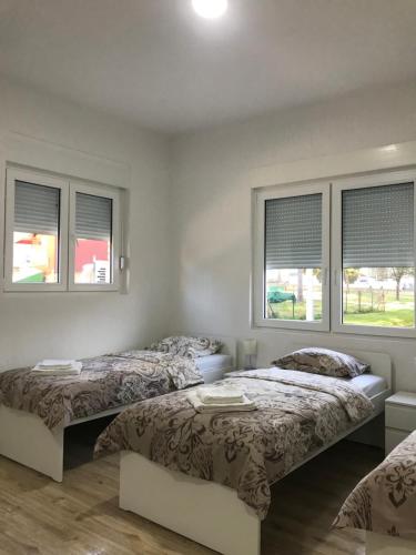 two beds in a room with two windows at Apartman studio Milojkovic in Golubac