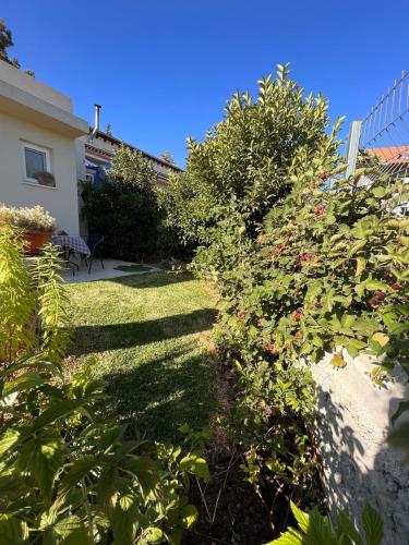 Κήπος έξω από το Albergue1062