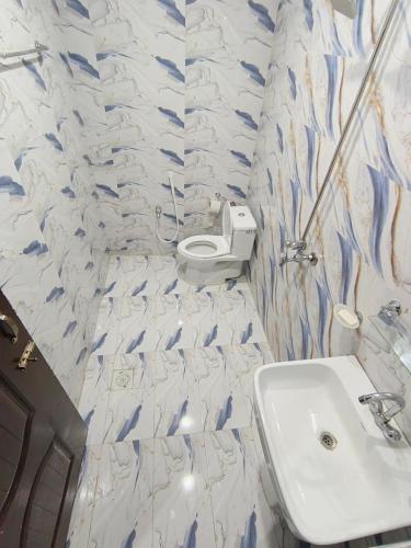 a bathroom with a sink and a toilet at Decent Luxury Hotel Skardu in Skardu