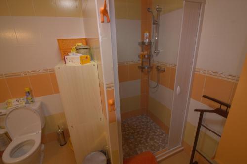 a small bathroom with a shower and a toilet at Orange House in Kladenské Rovné