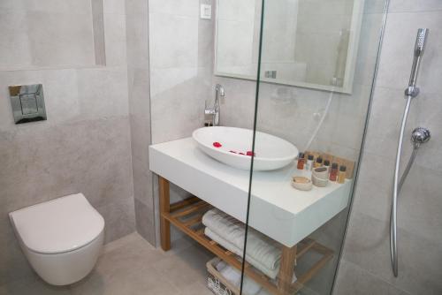 a bathroom with a sink and a shower and a toilet at Hotel Casa del Mare - Blanche in Herceg-Novi
