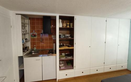 Dapur atau dapur kecil di Helgas Apartment No 1
