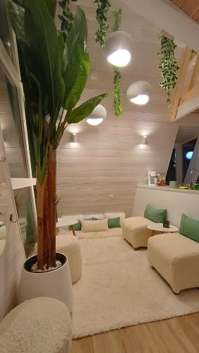 a living room with a potted tree and couches at White DIAMOND in Chalkidiki in Vergia
