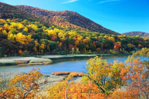 a river in the middle of a mountain with trees at Hyatt House Fishkill-Poughkeepsie in Fishkill