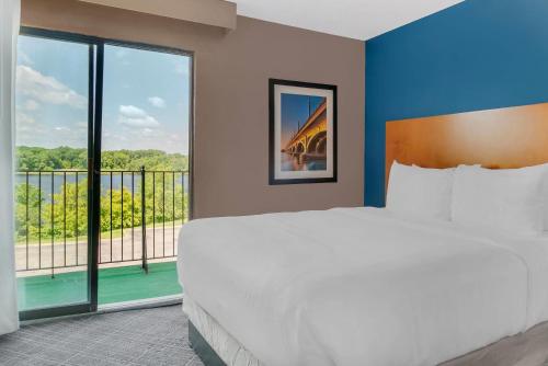 a bedroom with a large bed and a large window at Comfort Suites Auburn Hills-Detroit in Auburn Hills
