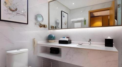 a bathroom with a sink and a toilet and a mirror at Fliport Garden Hotel Nanjing in Nanjing