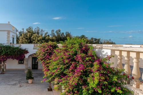 Taman di luar Masseria San Biagio