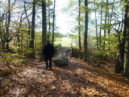 a man walking down a path in the woods at Zur Dorfschänke in Hausen
