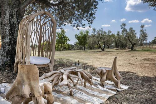 a chair sitting next to a tree in a field at Villa Pieve San Giovanni in Lustignano