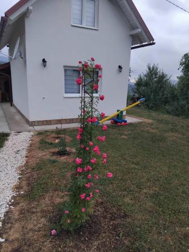 Pale şehrindeki Deda Simina vikendica tesisine ait fotoğraf galerisinden bir görsel