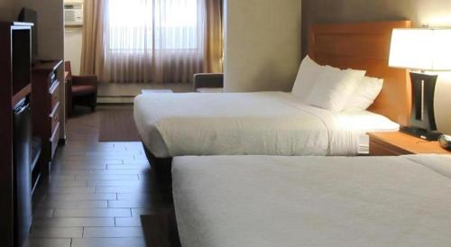 a hotel room with two beds and a television at Quality Inn & Suites Detroit Lakes in Detroit Lakes
