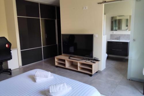 Televisyen dan/atau pusat hiburan di House for 8 with private pool