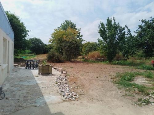 a dirt yard with a picnic table and trees at Glycine in Paimpol