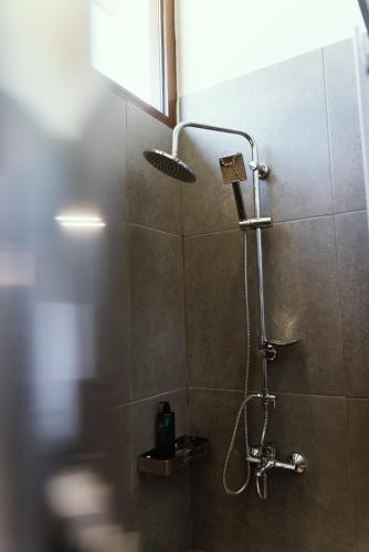 a shower in a bathroom with a shower at LOTOS Families Apartments 3 in Konitsa