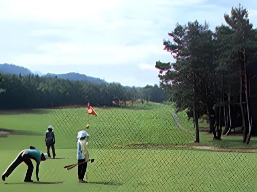 a group of people flying a kite in a field at Gujo Kogen Hotel in Shōgahora