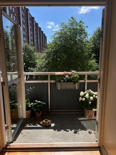 an open door to a balcony with potted plants at Bright, child-friendly, balcony, 50 meters from the subway in Copenhagen