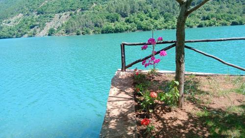 a view of a lake with flowers on a dock at Bujtina Liqeni i Shkopetit in Madhesh
