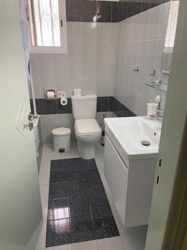 a bathroom with a white toilet and a sink at Villa Filip Coral Bay in Peyia
