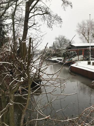 a river with snow on the water and a tree at Ferienwohnung Ambiente in Bedekaspel