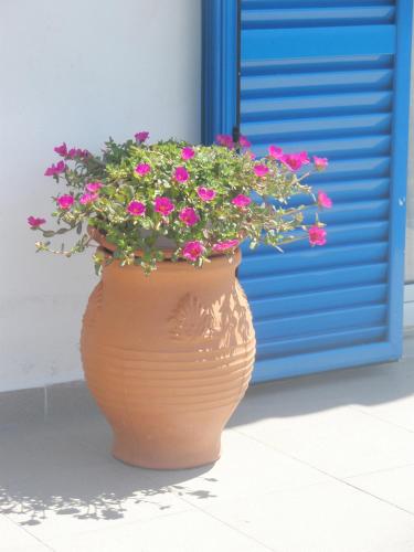 Gallery image of Enalion Apartments in Agios Ioannis Kaspaka