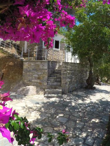 Gallery image of Villa Ariadni in Skiathos Town