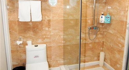 a bathroom with a shower with a toilet in it at GreenTree Alliance Anhui Hefei South Passenger Station South High Speed Railway Station Hotel in Hefei