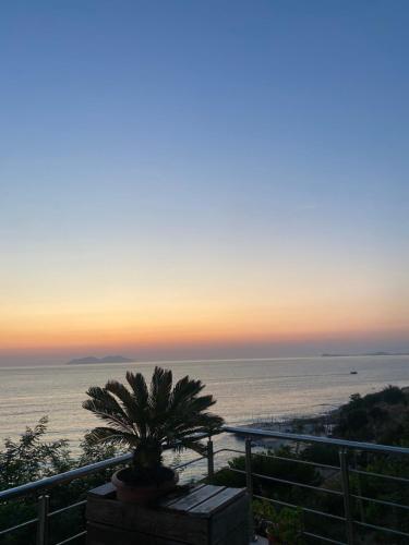 iLMAR Seaview Apartments