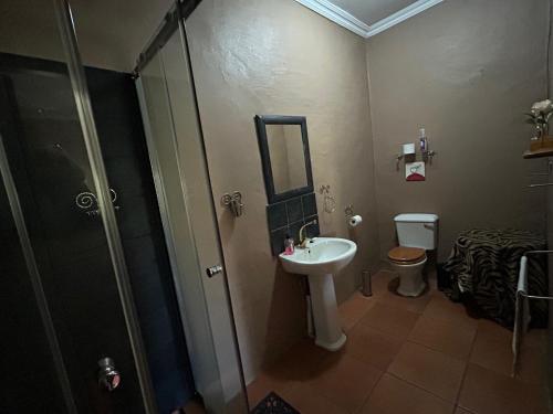 a bathroom with a sink and a shower and a toilet at KwaThabisile Bush Retreat in Cullinan