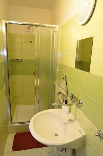 a bathroom with a sink and a shower at Otevřená Náruč Pension in Letovice