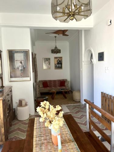 Maison Grace Syros