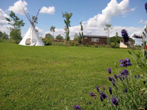a white teepee in a field with purple flowers at Heerlijk relaxen, knusse accommodatie vlakbij zwemplas in Vierakker
