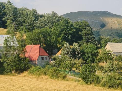 a barn with a red roof in a field at Seoski dom in Šavnik