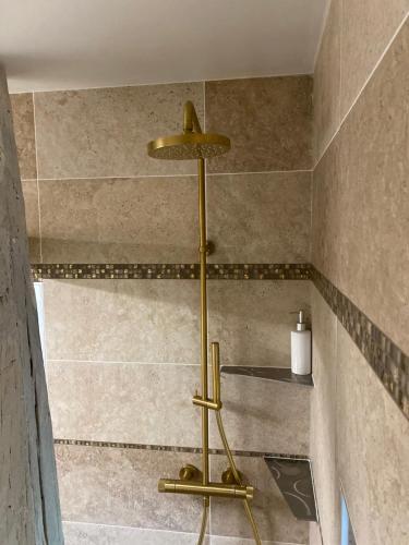 a bathroom with a shower with a gold showergt at Les Carillons du Bois de l'Orme in Les Pechs-du-Vers